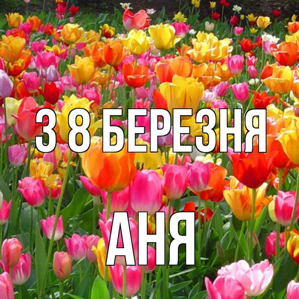 Открытка на каждый день з підписом, Аня З 8 БЕРЕЗНЯ на международный женский день Прикольна листівка з побажанням онлайн скачати безкоштовно 