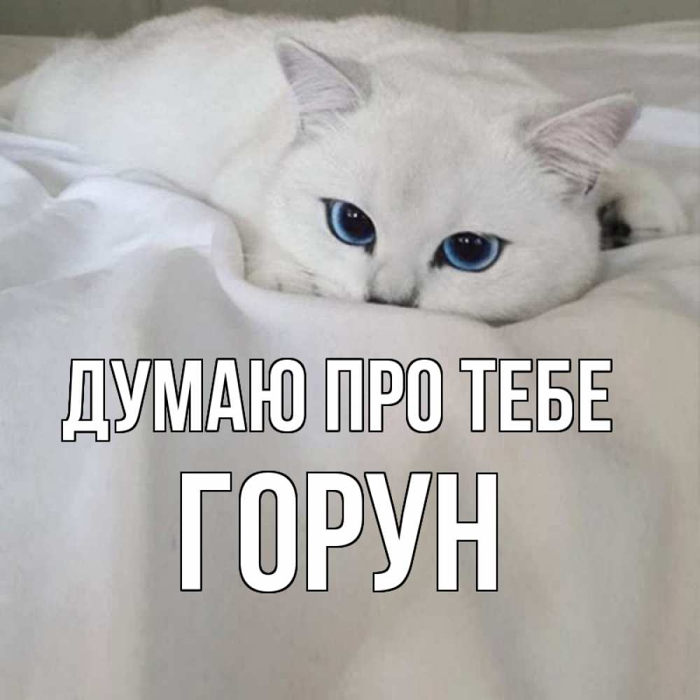 Открытка на каждый день з підписом, Горун Думаю про тебе я очень по тебе скучаю и тоскую Прикольна листівка з побажанням онлайн скачати безкоштовно 