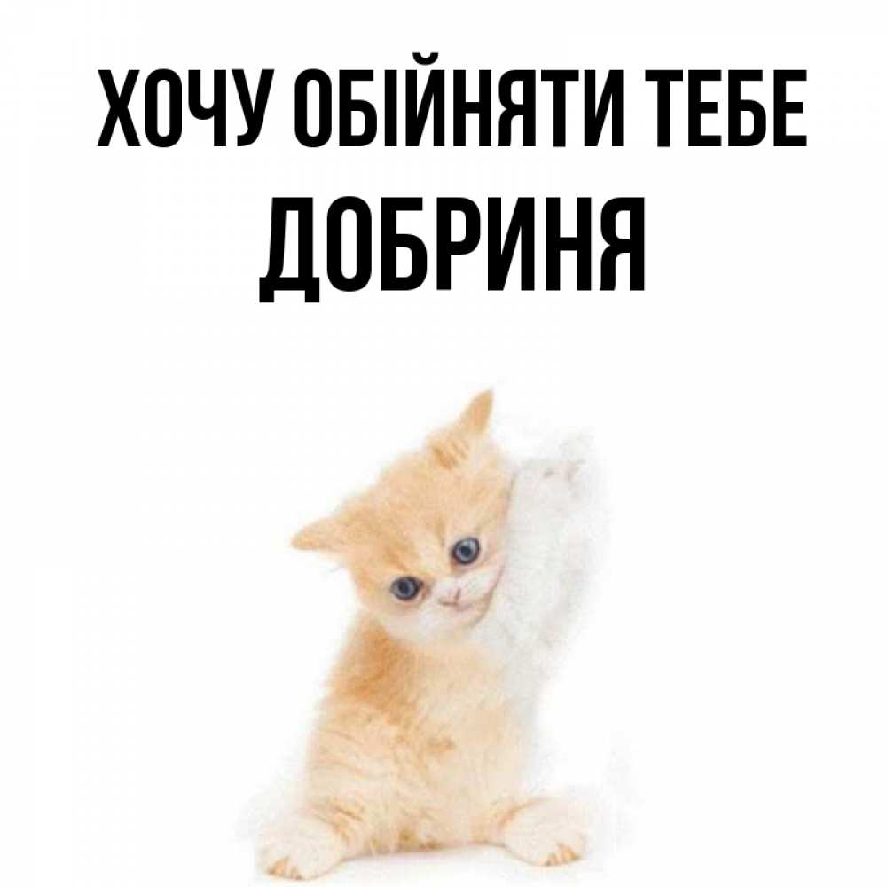 Открытка на каждый день з підписом, Добриня Хочу обійняти тебе я хочу очень скорее обнимаешек Прикольна листівка з побажанням онлайн скачати безкоштовно 
