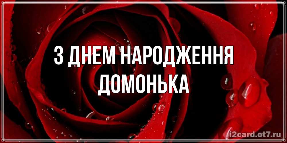 Открытка на каждый день з підписом, Домонька З Днем народження крупная бордовая роза Прикольна листівка з побажанням онлайн скачати безкоштовно 