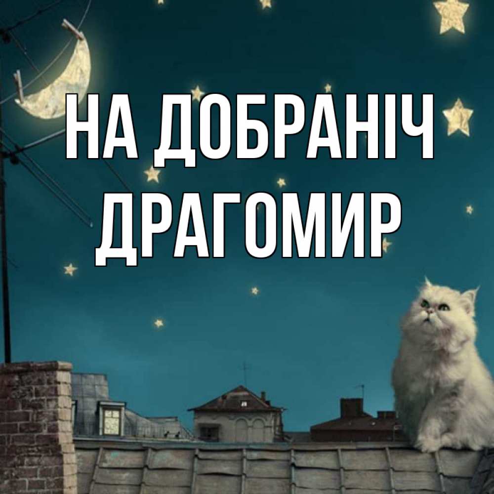 Открытка на каждый день з підписом, Драгомир На добраніч белый кот сидит на крыше Прикольна листівка з побажанням онлайн скачати безкоштовно 