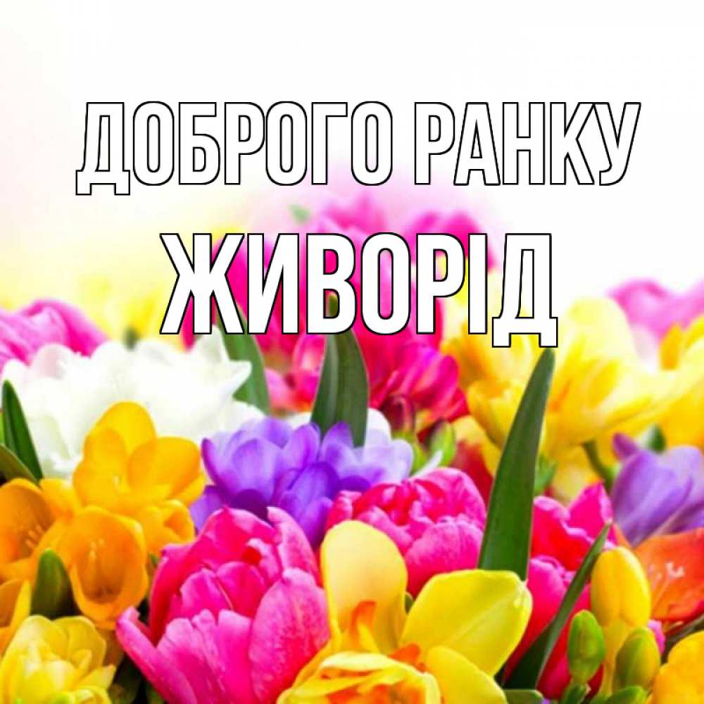 Открытка на каждый день з підписом, Живорід Доброго ранку создать открытку со свое подписью Прикольна листівка з побажанням онлайн скачати безкоштовно 