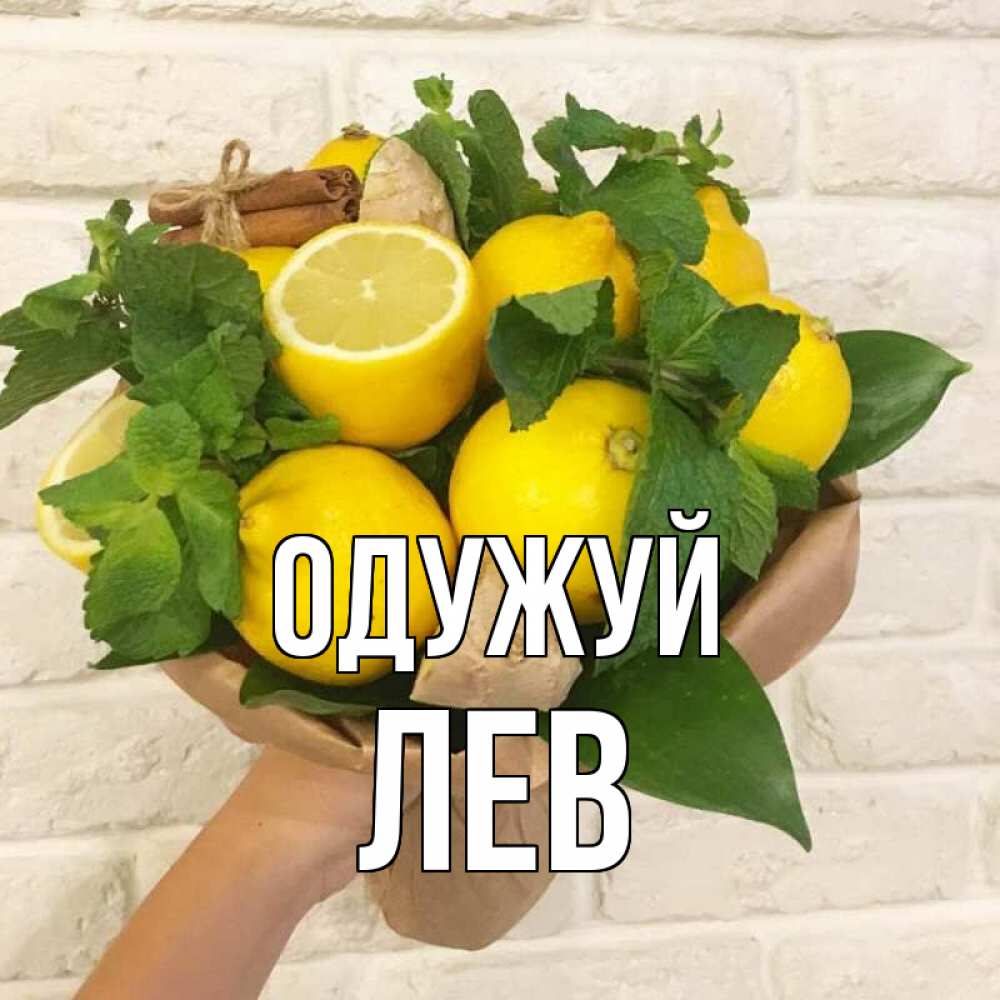 Открытка на каждый день з підписом, Лев Одужуй витамины Прикольна листівка з побажанням онлайн скачати безкоштовно 