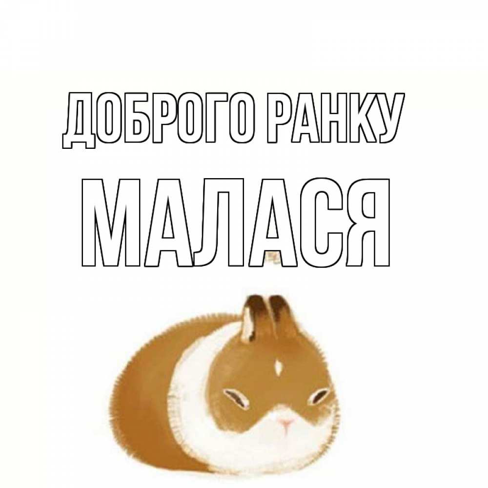 Открытка на каждый день з підписом, Малася Доброго ранку хорошего утречка Прикольна листівка з побажанням онлайн скачати безкоштовно 