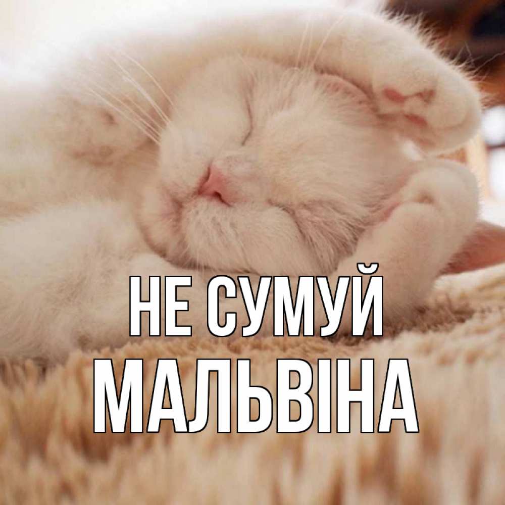 Открытка на каждый день з підписом, Мальвіна Не сумуй белый кот Прикольна листівка з побажанням онлайн скачати безкоштовно 
