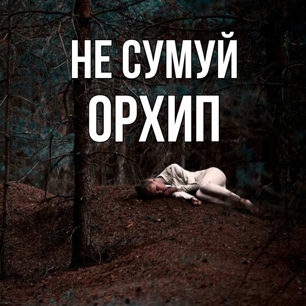 Открытка на каждый день з підписом, Орхип Не сумуй лес Прикольна листівка з побажанням онлайн скачати безкоштовно 