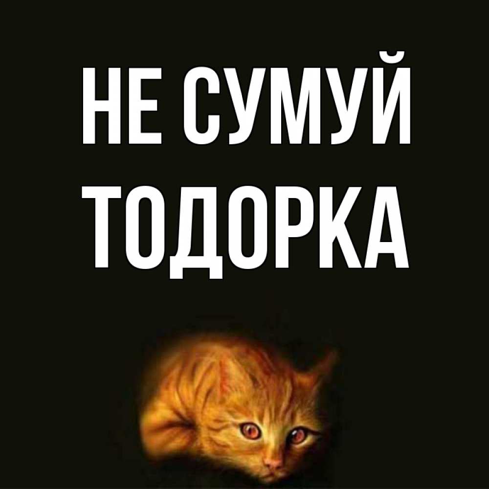 Открытка на каждый день з підписом, Тодорка Не сумуй лежащий кот в темноте Прикольна листівка з побажанням онлайн скачати безкоштовно 