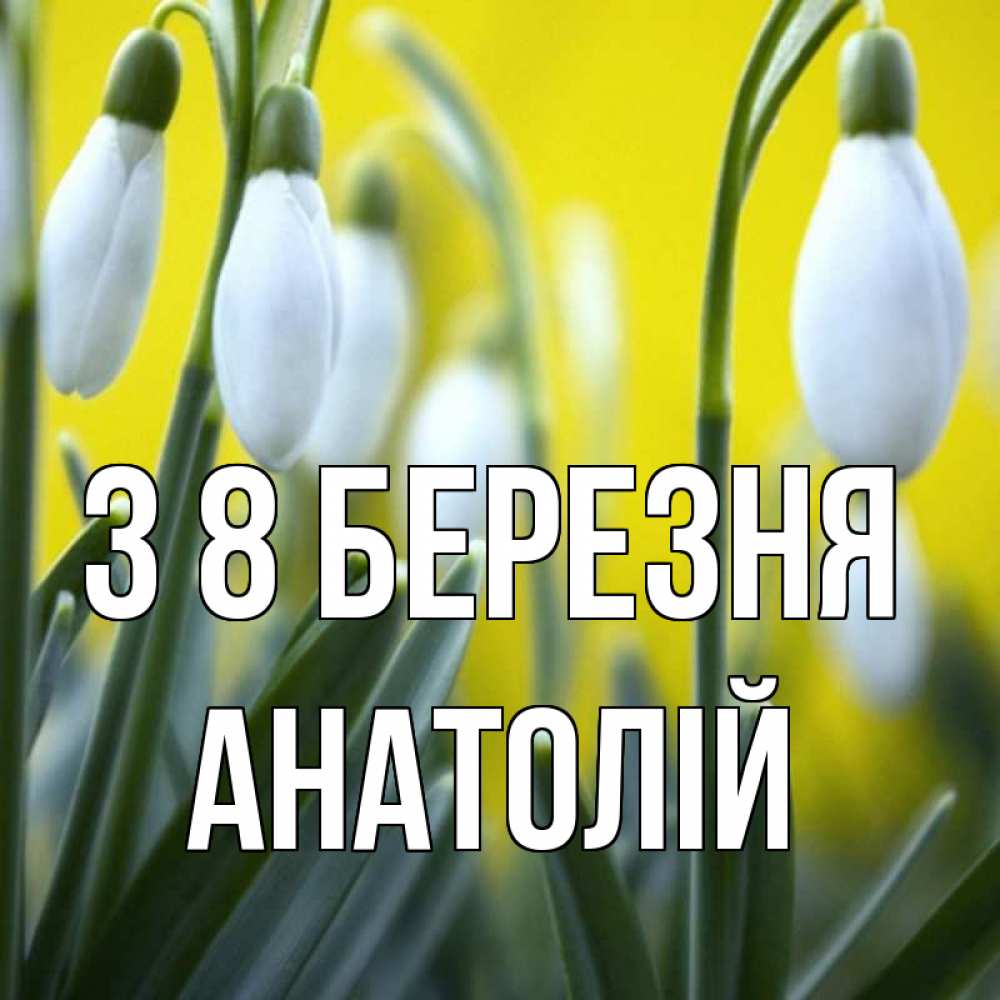 Открытка на каждый день з підписом, Анатолій З 8 БЕРЕЗНЯ весенние цветы Прикольна листівка з побажанням онлайн скачати безкоштовно 