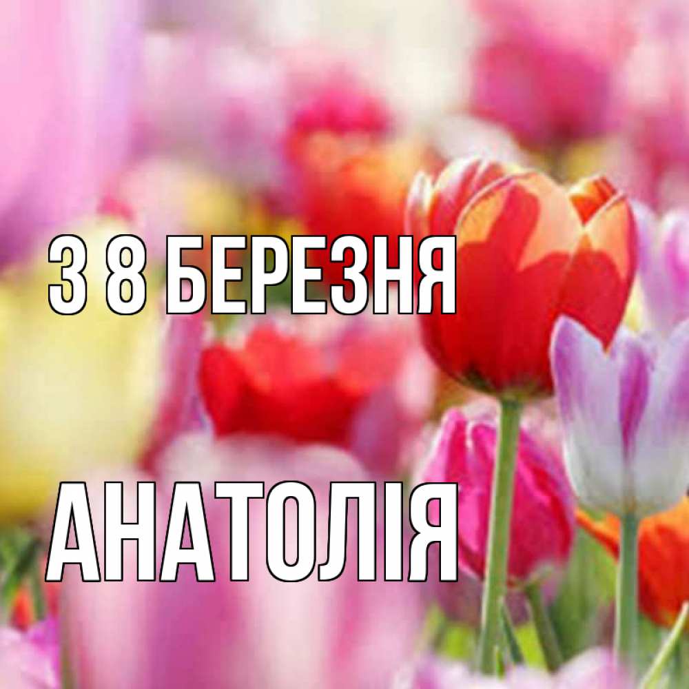 Открытка на каждый день з підписом, Анатолія З 8 БЕРЕЗНЯ на международный женский день 2 Прикольна листівка з побажанням онлайн скачати безкоштовно 
