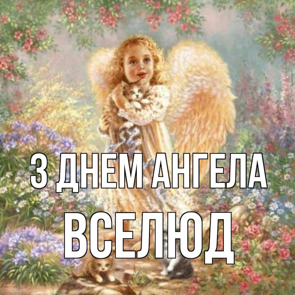Открытка на каждый день з підписом, Вселюд З Днем ангела держит котенка Прикольна листівка з побажанням онлайн скачати безкоштовно 