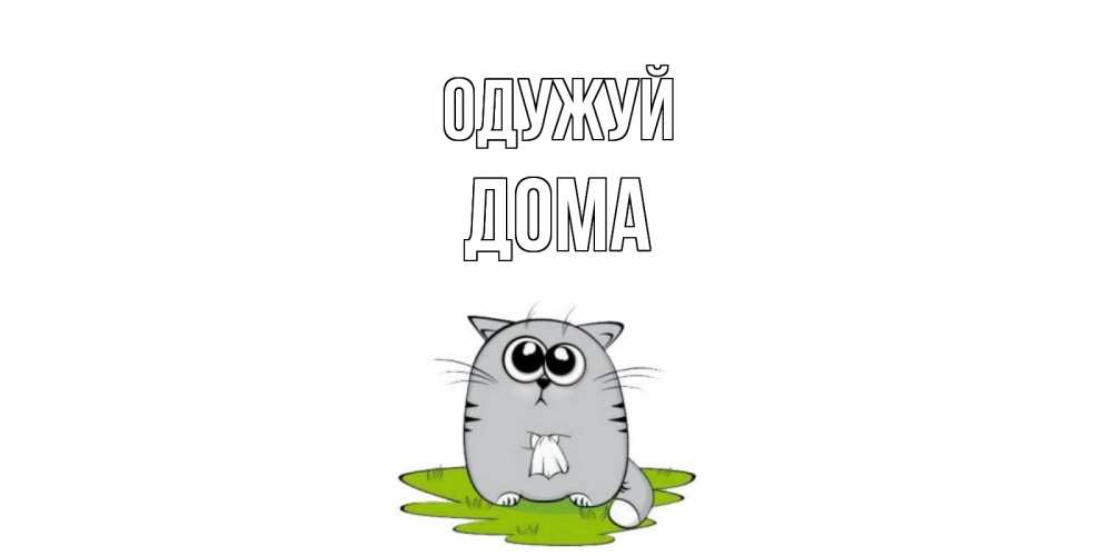 Открытка на каждый день з підписом, Дома Одужуй кот и открытки про выздоровление Прикольна листівка з побажанням онлайн скачати безкоштовно 