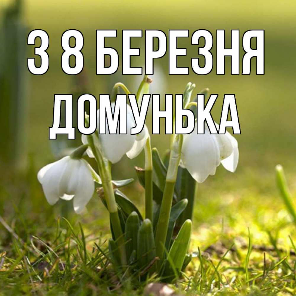 Открытка на каждый день з підписом, Домунька З 8 БЕРЕЗНЯ ранние цветы 2 Прикольна листівка з побажанням онлайн скачати безкоштовно 