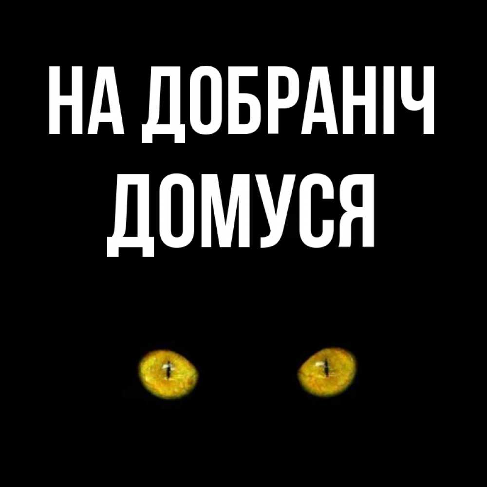 Открытка на каждый день з підписом, Домуся На добраніч сладких снов бесстрашный мой дружочек Прикольна листівка з побажанням онлайн скачати безкоштовно 