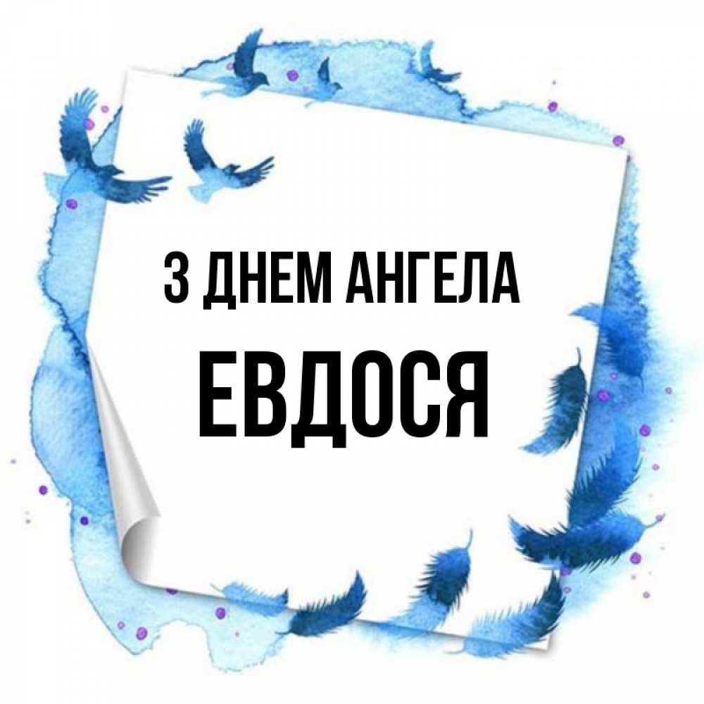 Открытка на каждый день з підписом, Евдося З Днем ангела красивые птицы летят Прикольна листівка з побажанням онлайн скачати безкоштовно 