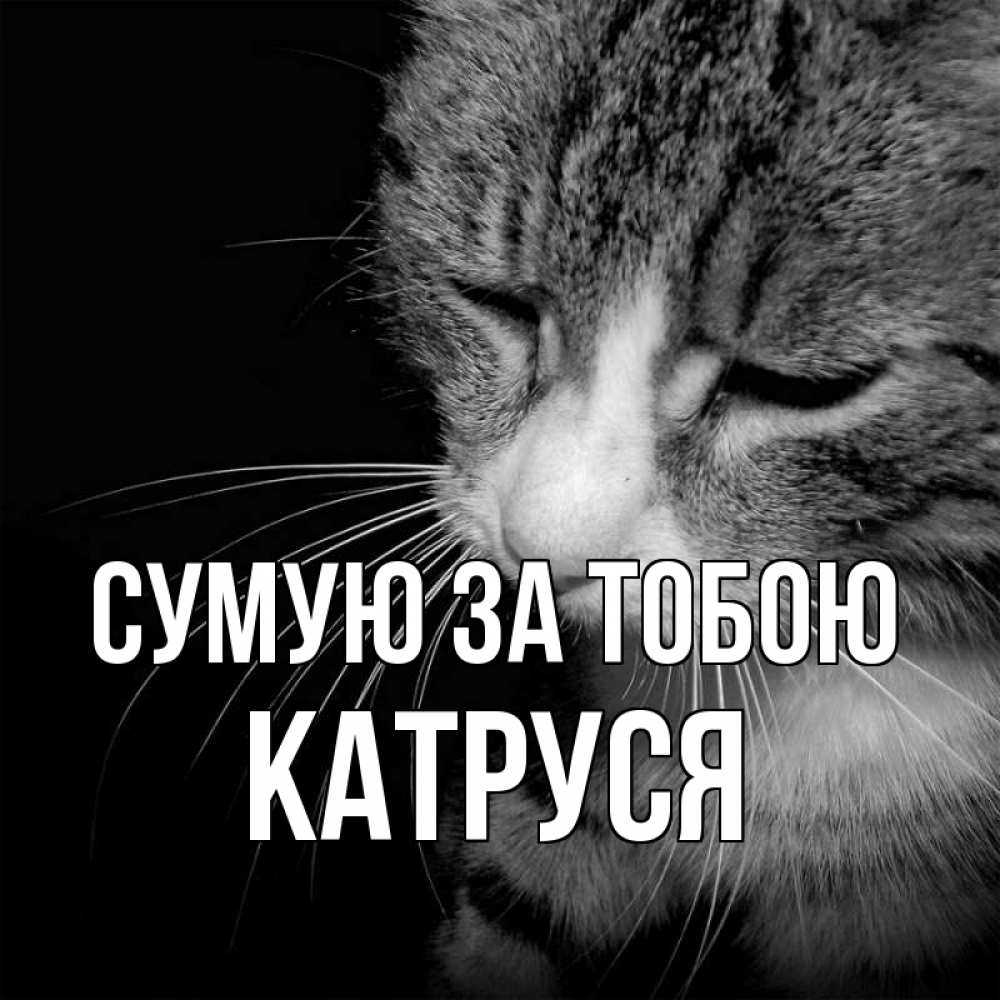 Открытка на каждый день з підписом, Катруся Сумую за тобою мне скучно Прикольна листівка з побажанням онлайн скачати безкоштовно 