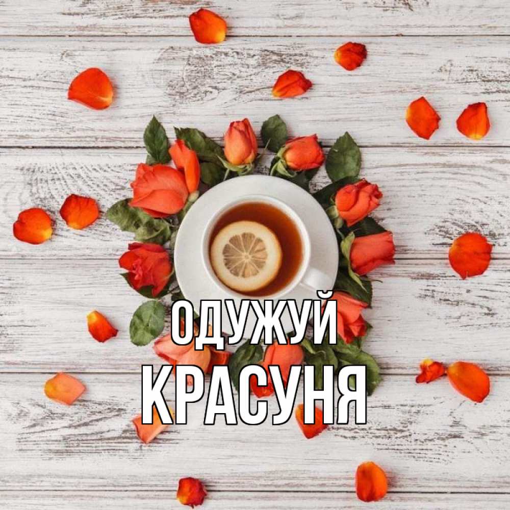 Открытка на каждый день з підписом, Красуня Одужуй фон из досок Прикольна листівка з побажанням онлайн скачати безкоштовно 