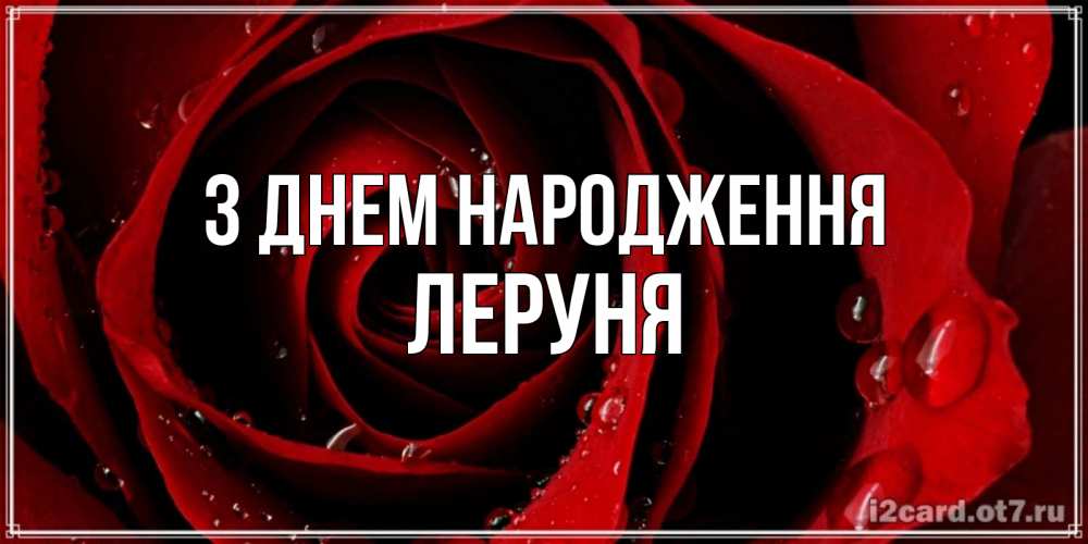 Открытка на каждый день з підписом, Леруня З Днем народження крупная бордовая роза Прикольна листівка з побажанням онлайн скачати безкоштовно 