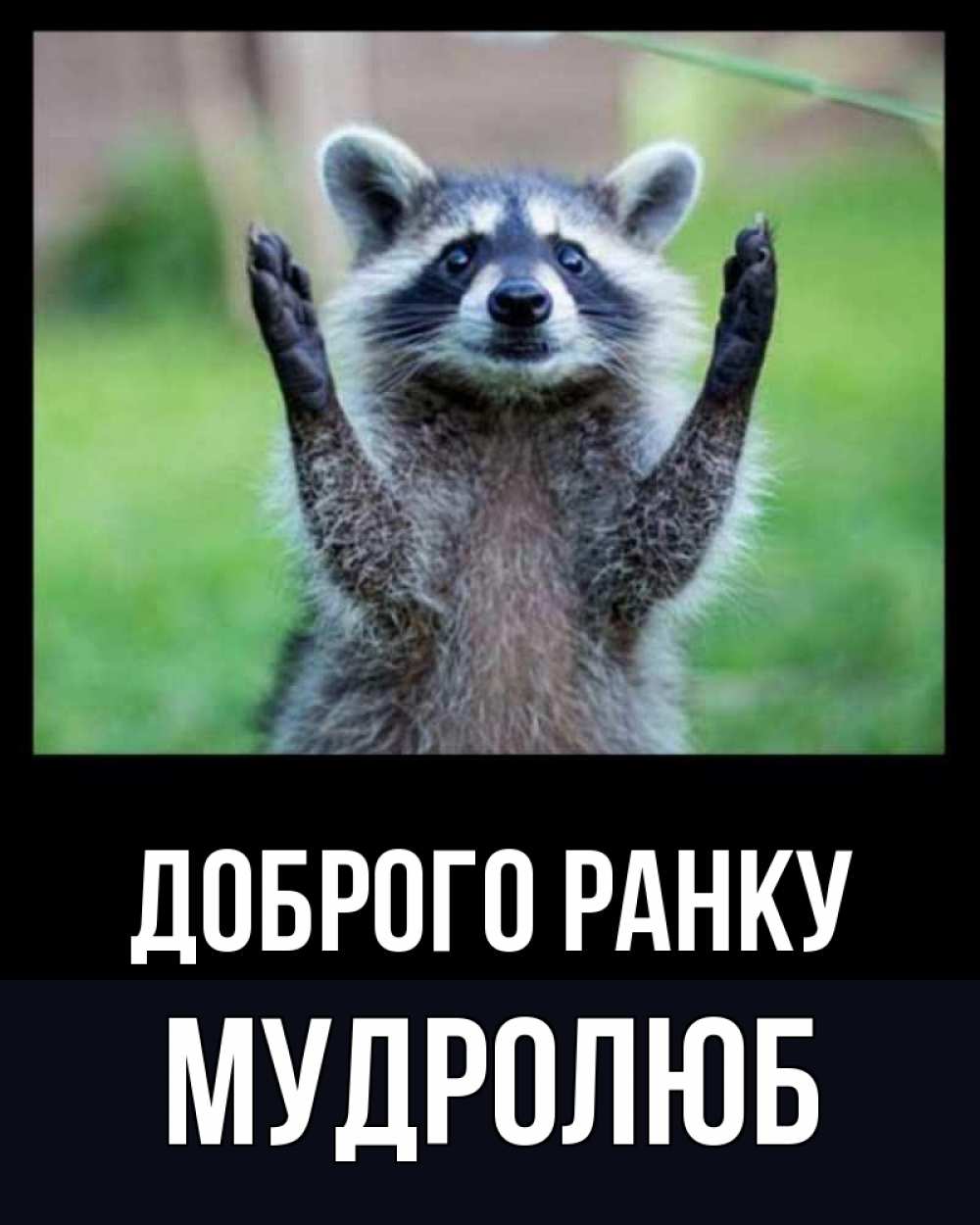 Открытка на каждый день з підписом, Мудролюб Доброго ранку хорошее настроение утречком Прикольна листівка з побажанням онлайн скачати безкоштовно 