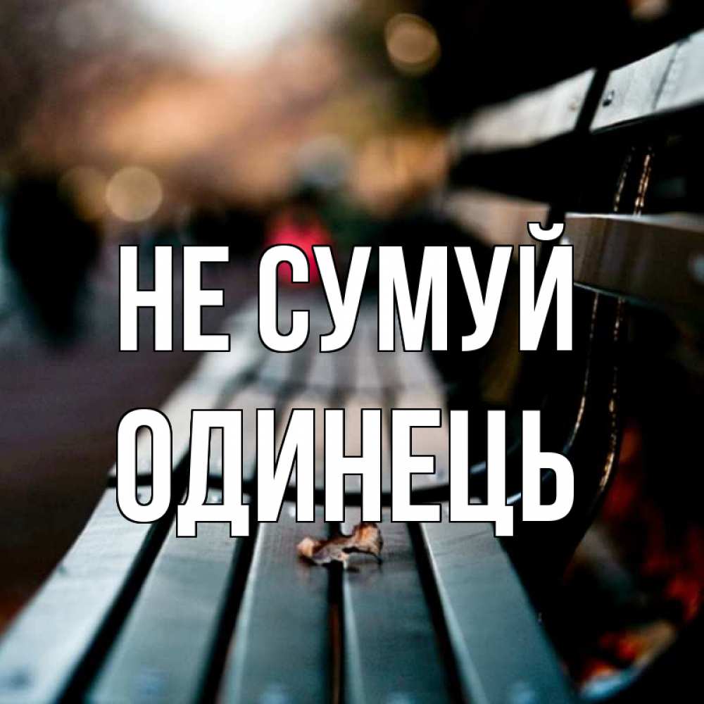 Открытка на каждый день з підписом, Одинець Не сумуй размытый фон Прикольна листівка з побажанням онлайн скачати безкоштовно 