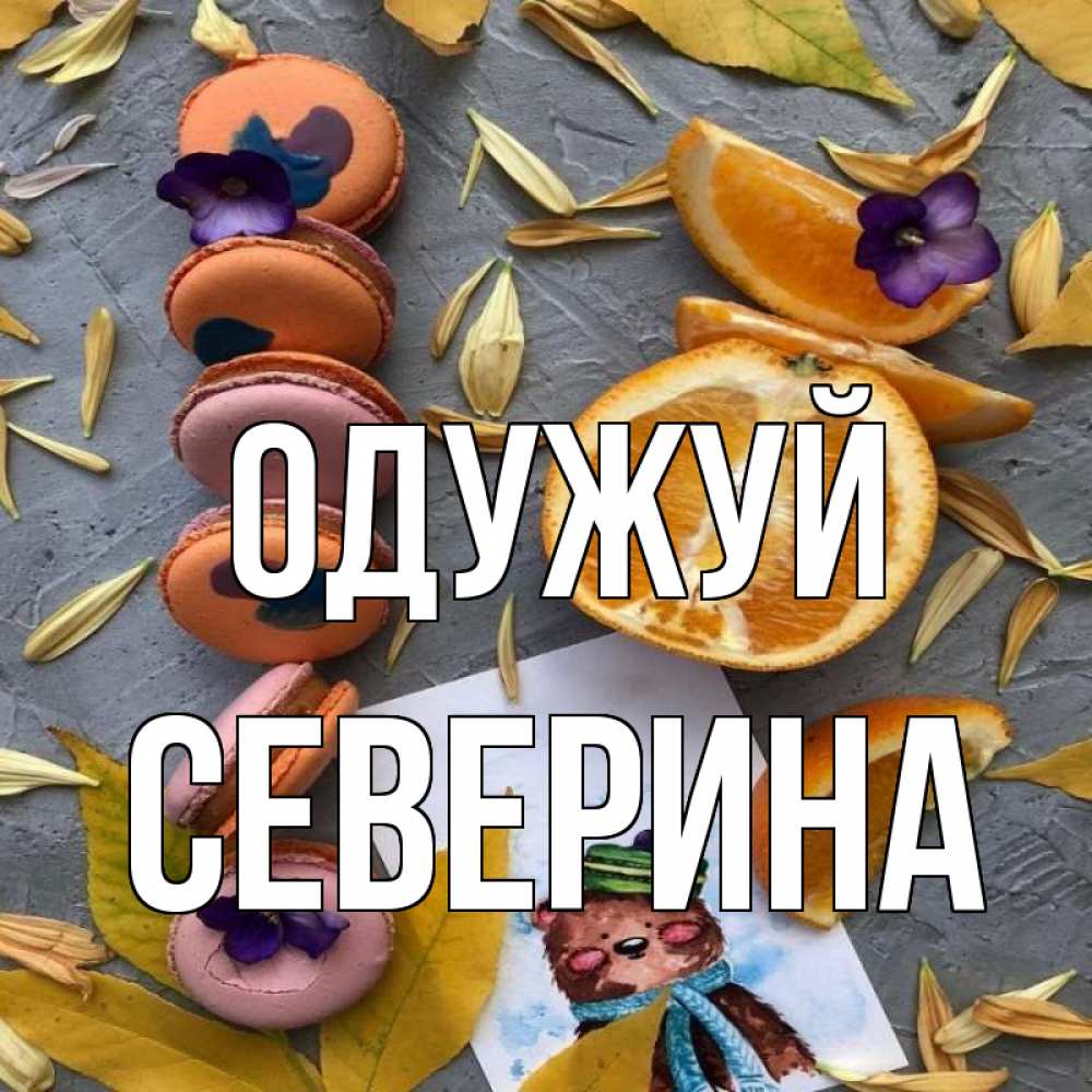 Открытка на каждый день з підписом, Северина Одужуй не болейте Прикольна листівка з побажанням онлайн скачати безкоштовно 