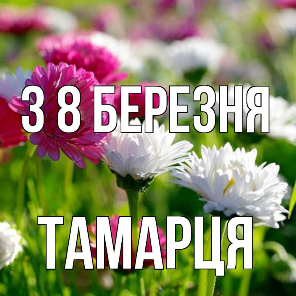 Открытка на каждый день з підписом, Тамарця З 8 БЕРЕЗНЯ международный женский день 1 Прикольна листівка з побажанням онлайн скачати безкоштовно 