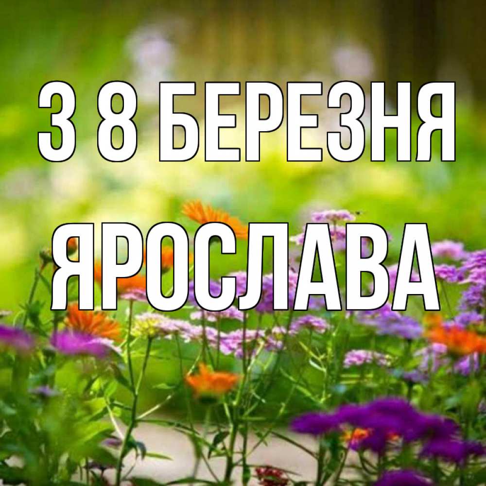 Открытка на каждый день з підписом, Ярослава З 8 БЕРЕЗНЯ цветы Прикольна листівка з побажанням онлайн скачати безкоштовно 