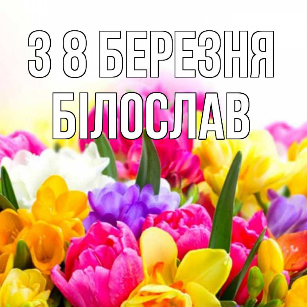 Открытка на каждый день з підписом, Білослав З 8 БЕРЕЗНЯ тюльпаны Прикольна листівка з побажанням онлайн скачати безкоштовно 