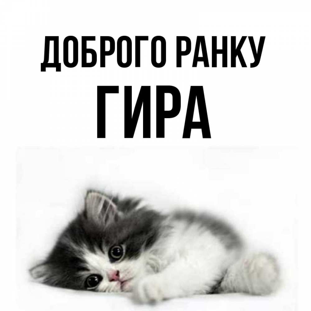 Открытка на каждый день з підписом, Гира Доброго ранку кот лапки Прикольна листівка з побажанням онлайн скачати безкоштовно 