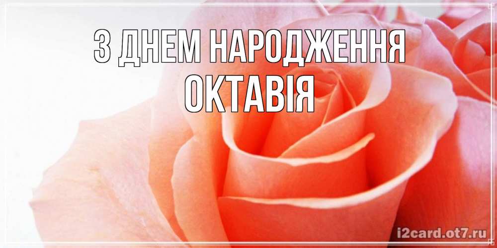 Открытка на каждый день з підписом, Октавія З Днем народження розы для поздравления с днем рождения Прикольна листівка з побажанням онлайн скачати безкоштовно 