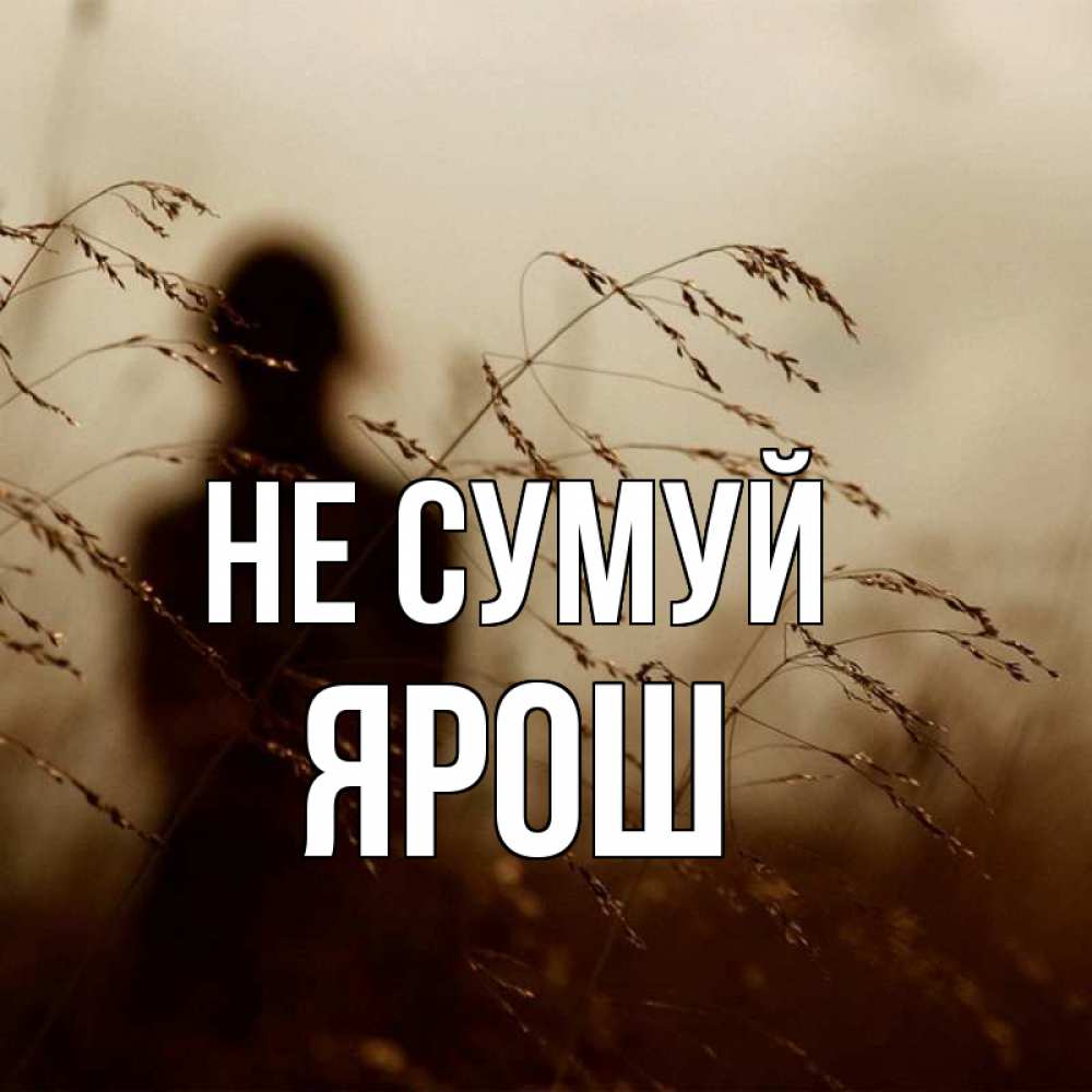 Открытка на каждый день з підписом, Ярош Не сумуй грусть Прикольна листівка з побажанням онлайн скачати безкоштовно 