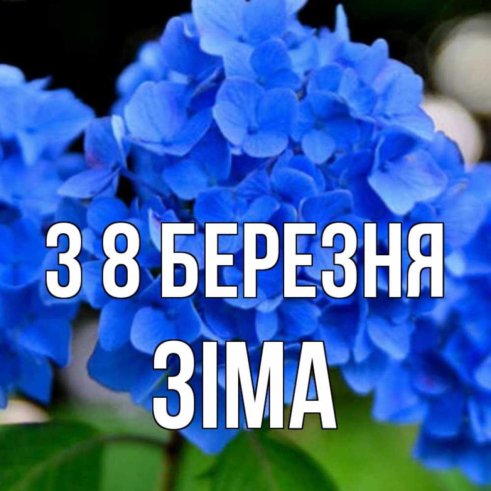 Открытка на каждый день з підписом, Зіма З 8 БЕРЕЗНЯ синие цветы Прикольна листівка з побажанням онлайн скачати безкоштовно 