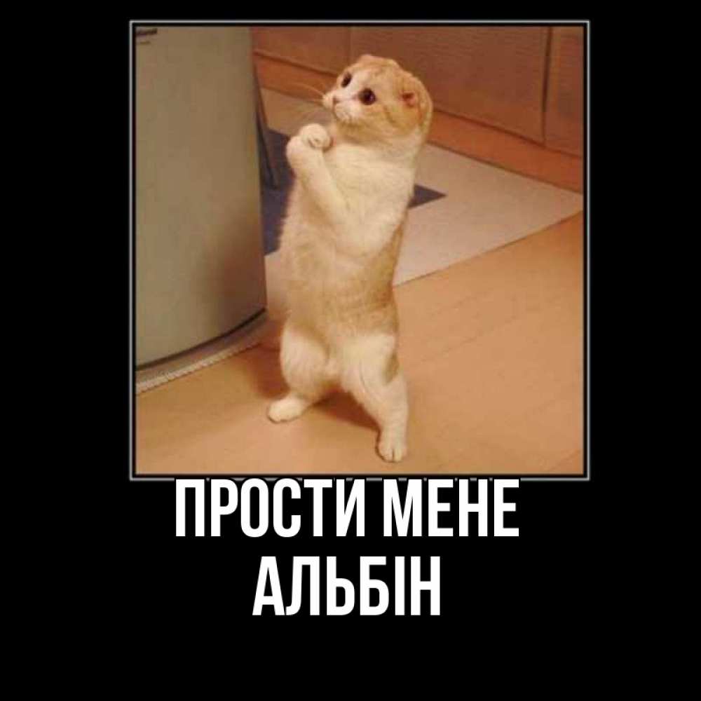 Открытка на каждый день з підписом, Альбін Прости мене открытка с милым несчастным котиком просящим прощения Прикольна листівка з побажанням онлайн скачати безкоштовно 