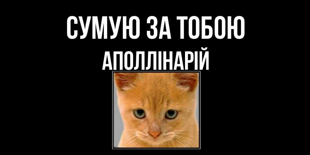 Открытка на каждый день з підписом, Аполлінарій Сумую за тобою открытки рыжий котенок скучает по тебе Прикольна листівка з побажанням онлайн скачати безкоштовно 