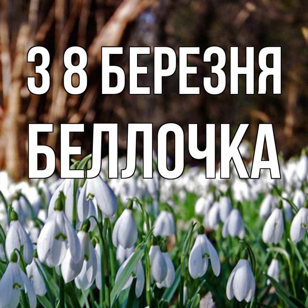 Открытка на каждый день з підписом, Беллочка З 8 БЕРЕЗНЯ с подснежниками 1 Прикольна листівка з побажанням онлайн скачати безкоштовно 
