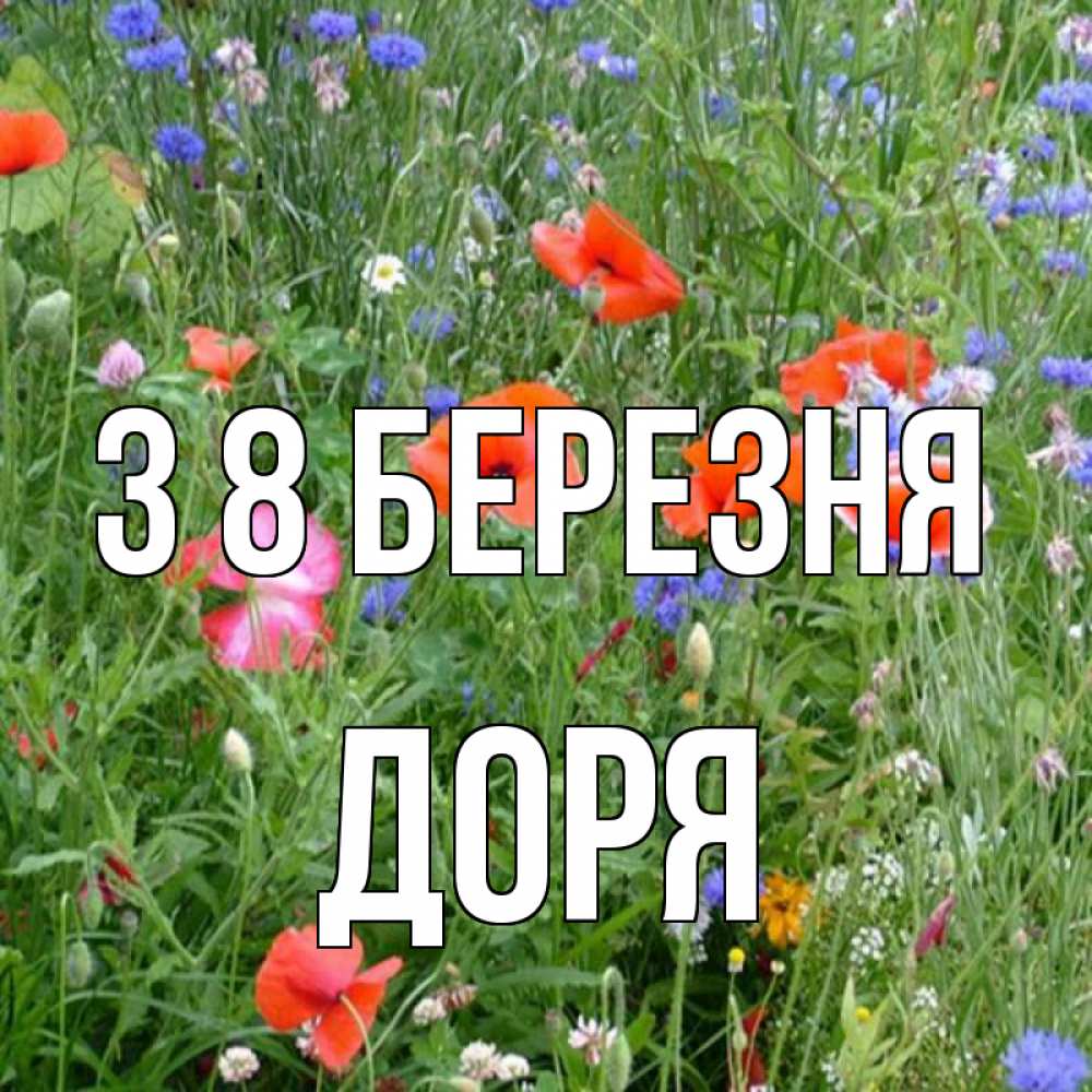Открытка на каждый день з підписом, Доря З 8 БЕРЕЗНЯ международный женский день 4 Прикольна листівка з побажанням онлайн скачати безкоштовно 