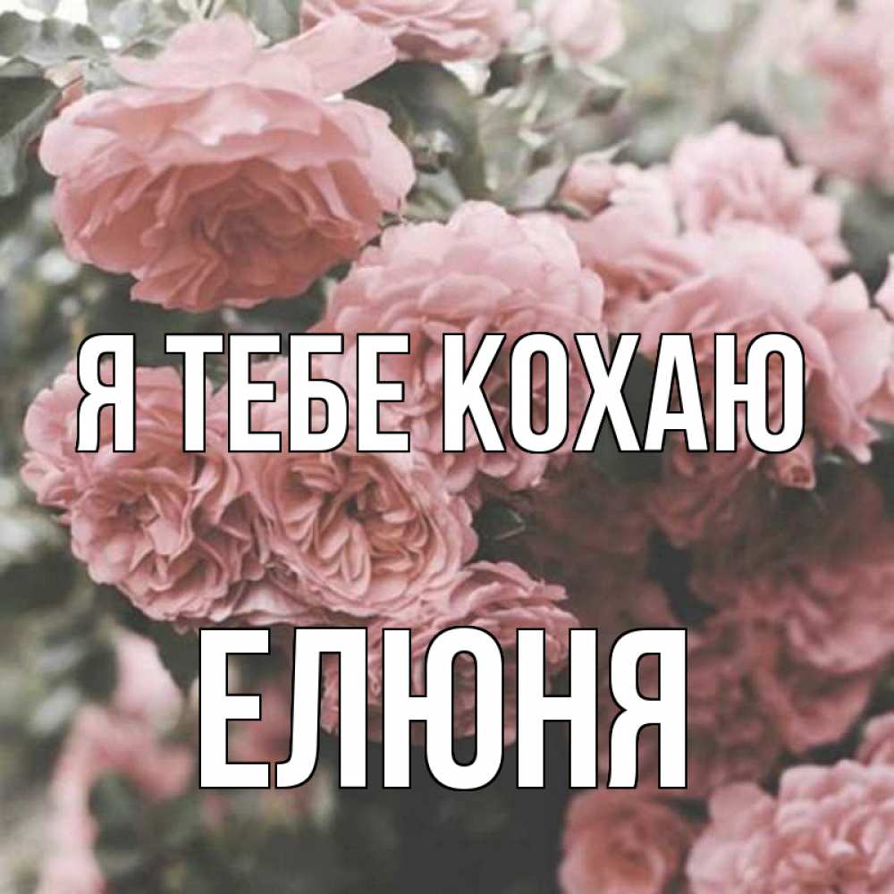 Открытка на каждый день з підписом, Елюня Я тебе кохаю розы 3 Прикольна листівка з побажанням онлайн скачати безкоштовно 