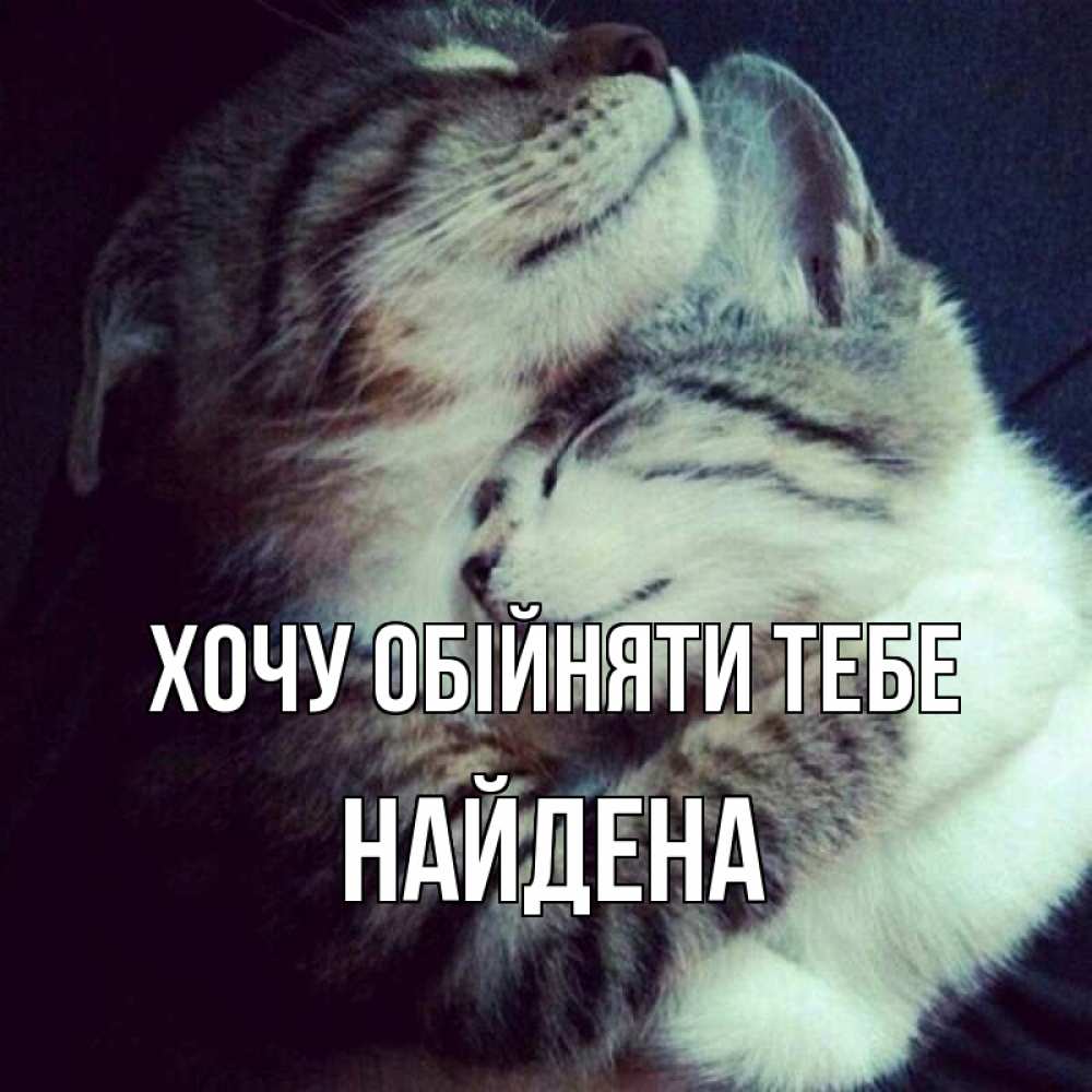 Открытка на каждый день з підписом, Найдена Хочу обійняти тебе полосатики Прикольна листівка з побажанням онлайн скачати безкоштовно 