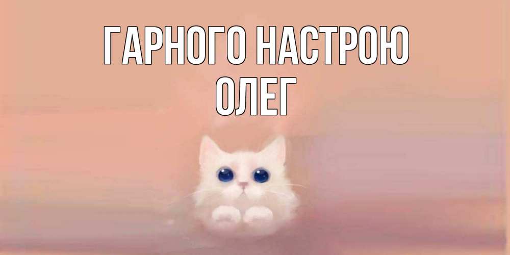 Открытка на каждый день з підписом, Олег Гарного настрою кошка Прикольна листівка з побажанням онлайн скачати безкоштовно 