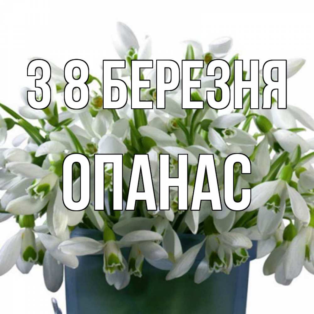 Открытка на каждый день з підписом, Опанас З 8 БЕРЕЗНЯ цветы к международному женскому дню Прикольна листівка з побажанням онлайн скачати безкоштовно 