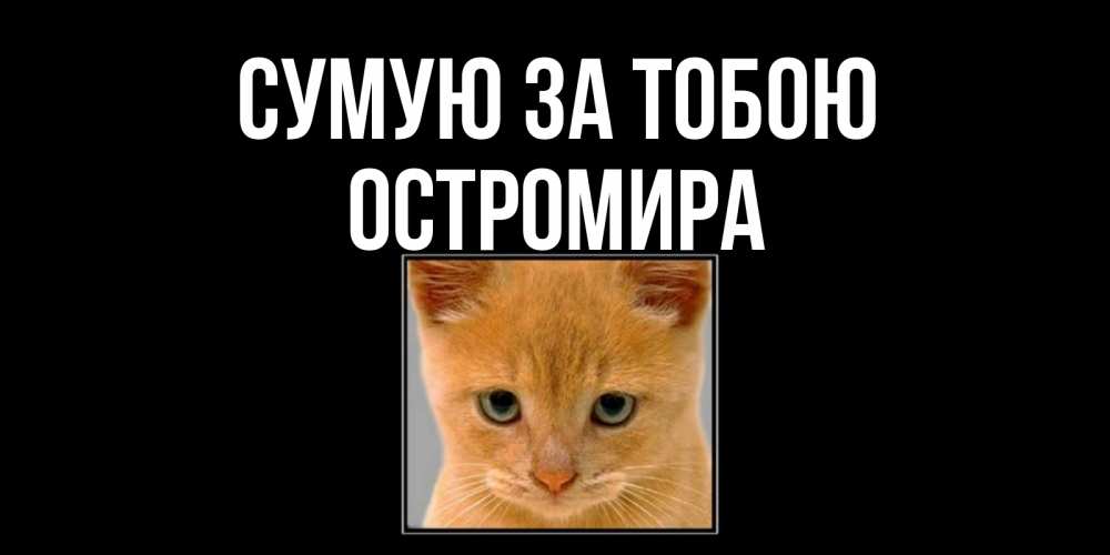 Открытка на каждый день з підписом, Остромира Сумую за тобою открытки рыжий котенок скучает по тебе Прикольна листівка з побажанням онлайн скачати безкоштовно 