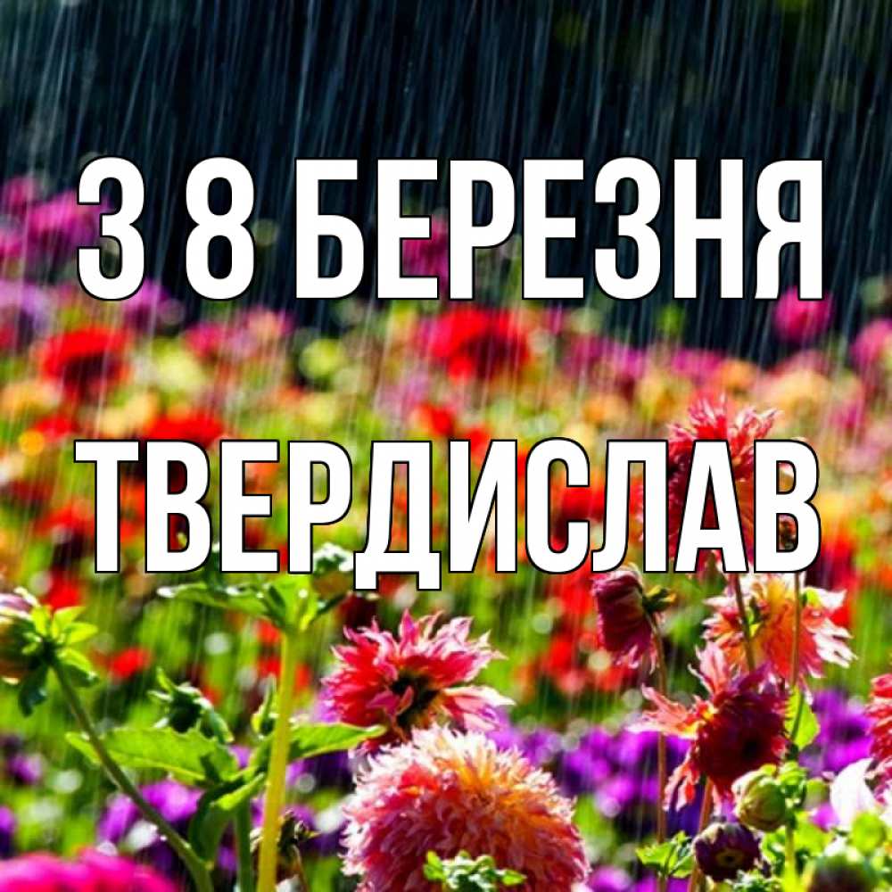 Открытка на каждый день з підписом, Твердислав З 8 БЕРЕЗНЯ цветы под дождиком к международному женскому дню Прикольна листівка з побажанням онлайн скачати безкоштовно 