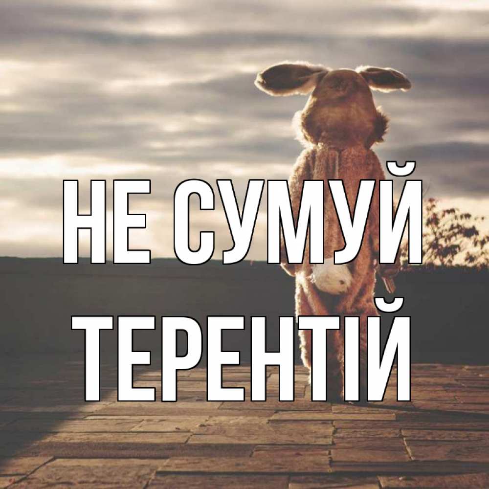 Открытка на каждый день з підписом, Терентій Не сумуй со спины Прикольна листівка з побажанням онлайн скачати безкоштовно 