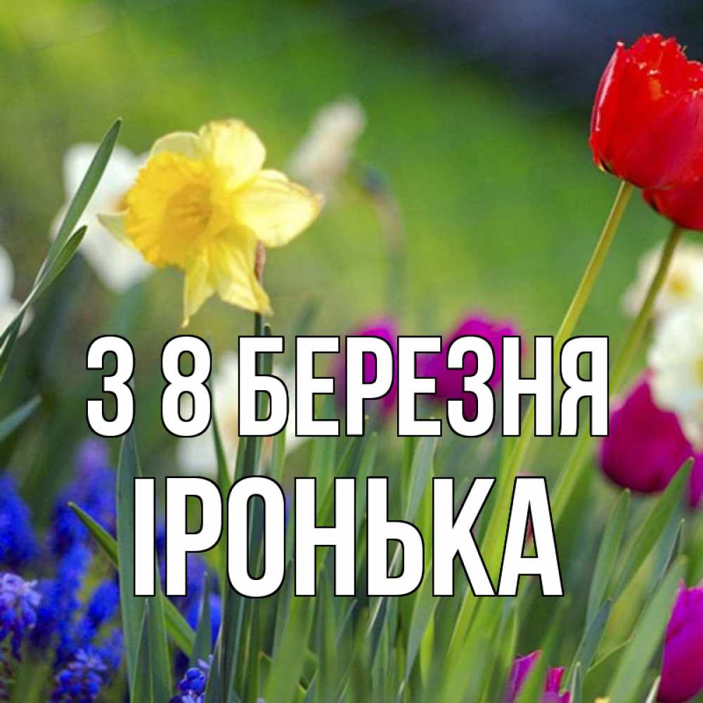 Открытка на каждый день з підписом, Іронька З 8 БЕРЕЗНЯ международный женский день 3 Прикольна листівка з побажанням онлайн скачати безкоштовно 