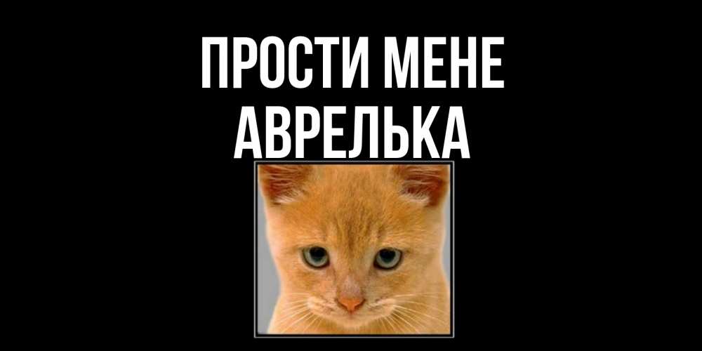 Открытка на каждый день з підписом, Аврелька Прости мене рыжий грустный кот просит прощения Прикольна листівка з побажанням онлайн скачати безкоштовно 