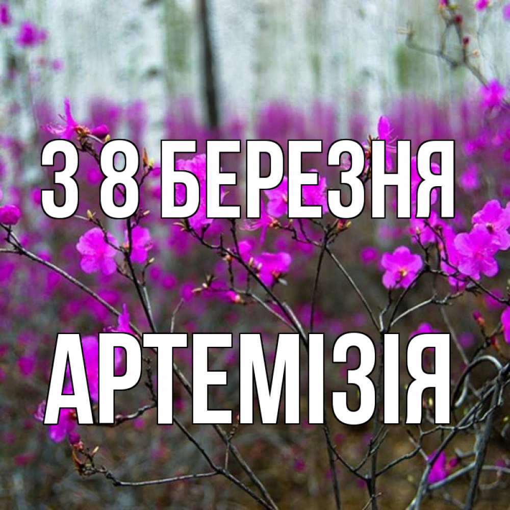 Открытка на каждый день з підписом, Артемізія З 8 БЕРЕЗНЯ дикие цветы Прикольна листівка з побажанням онлайн скачати безкоштовно 