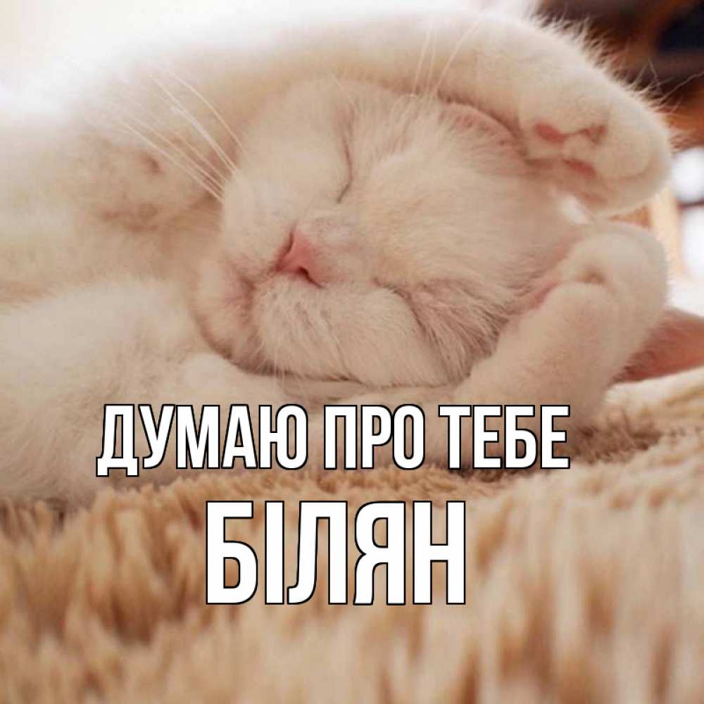 Открытка на каждый день з підписом, Білян Думаю про тебе для любимой девушки милота Прикольна листівка з побажанням онлайн скачати безкоштовно 