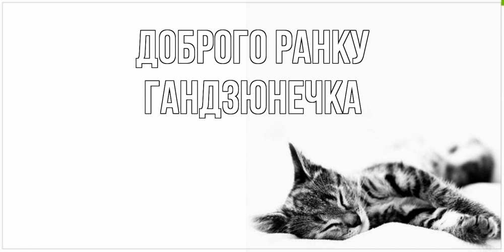 Открытка на каждый день з підписом, Гандзюнечка Доброго ранку котуся Прикольна листівка з побажанням онлайн скачати безкоштовно 