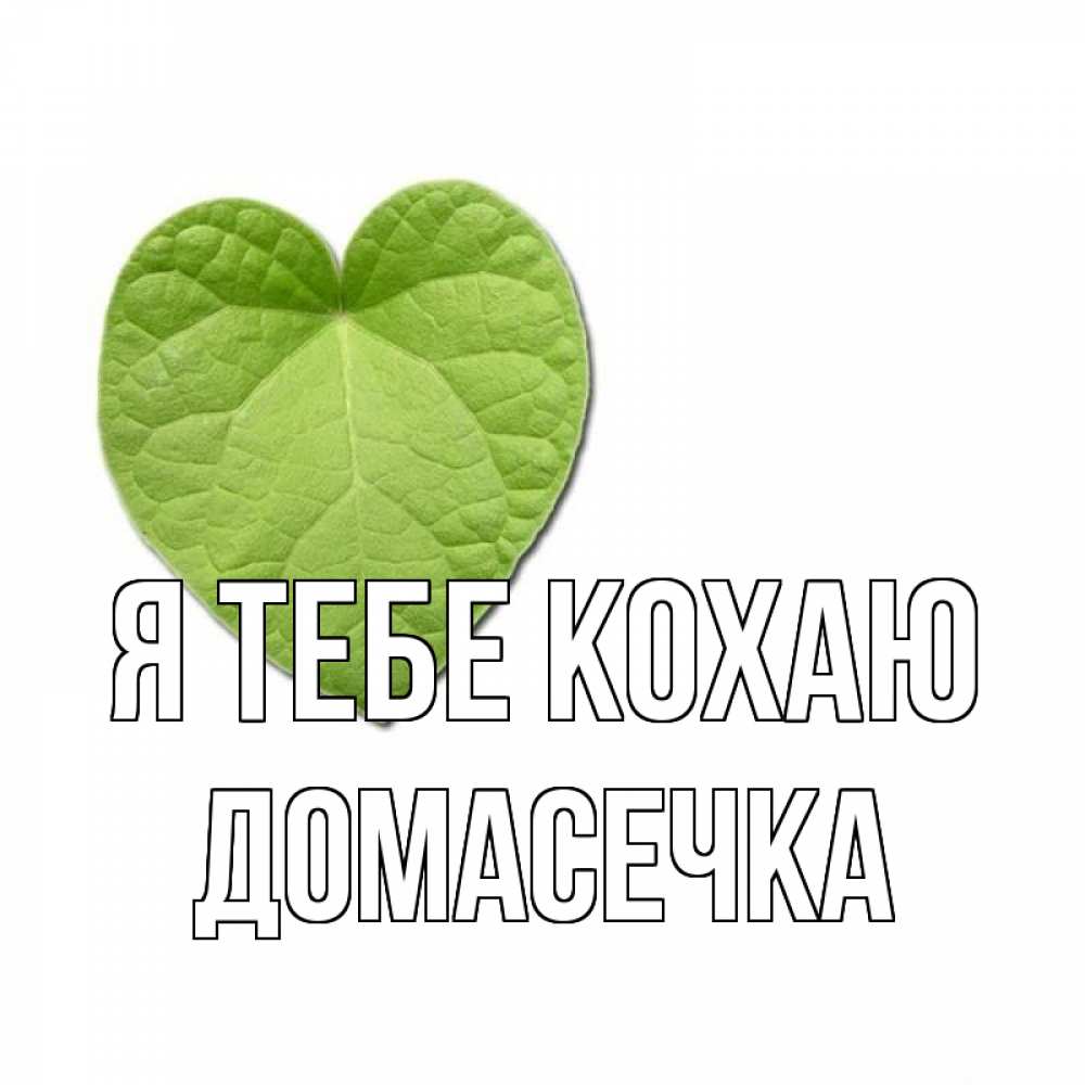 Открытка на каждый день з підписом, Домасечка Я тебе кохаю тебе Прикольна листівка з побажанням онлайн скачати безкоштовно 