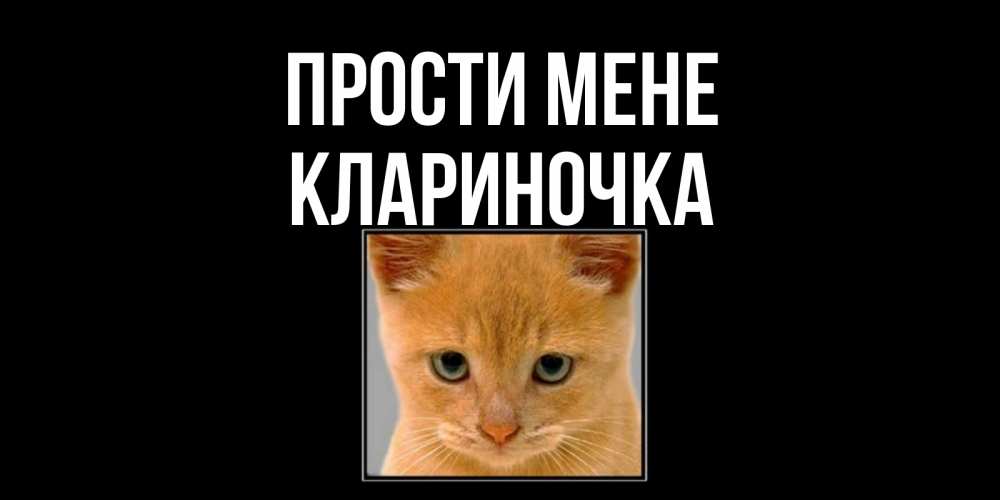 Открытка на каждый день з підписом, Клариночка Прости мене рыжий грустный кот просит прощения Прикольна листівка з побажанням онлайн скачати безкоштовно 