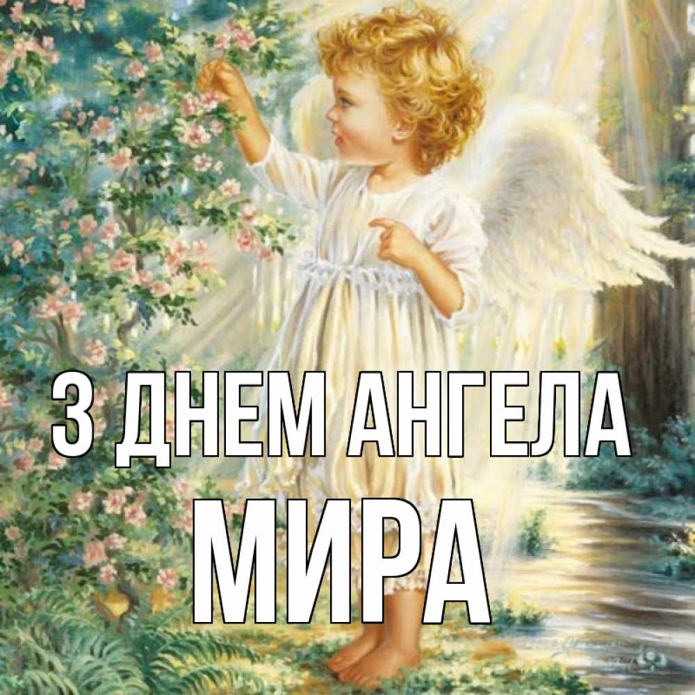 Открытка на каждый день з підписом, Мира З Днем ангела собирает цветы Прикольна листівка з побажанням онлайн скачати безкоштовно 